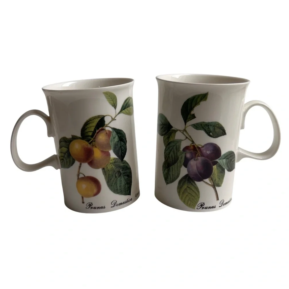 Set of 6 Dunoon Fruit Blenheim Mugs Bone China England
